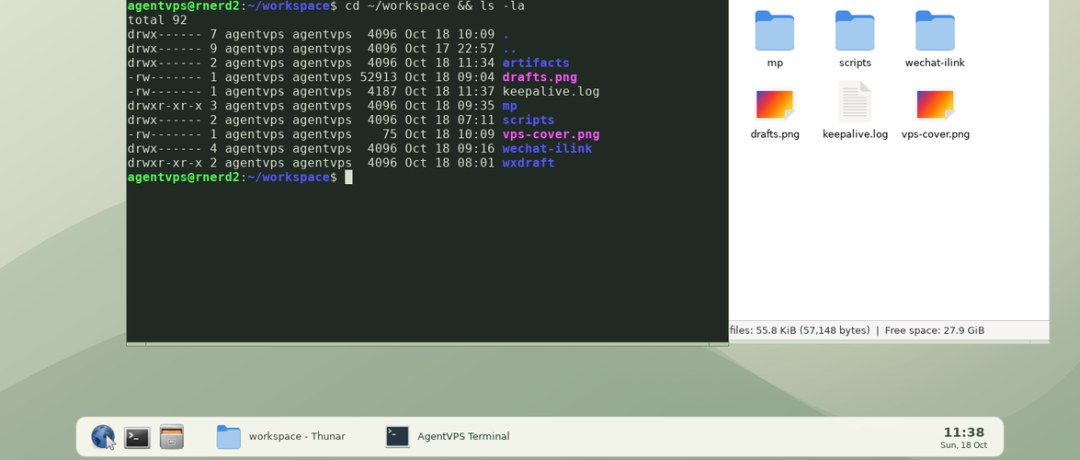 AgentVPS 桌面：终端、文件管理器、底部面板